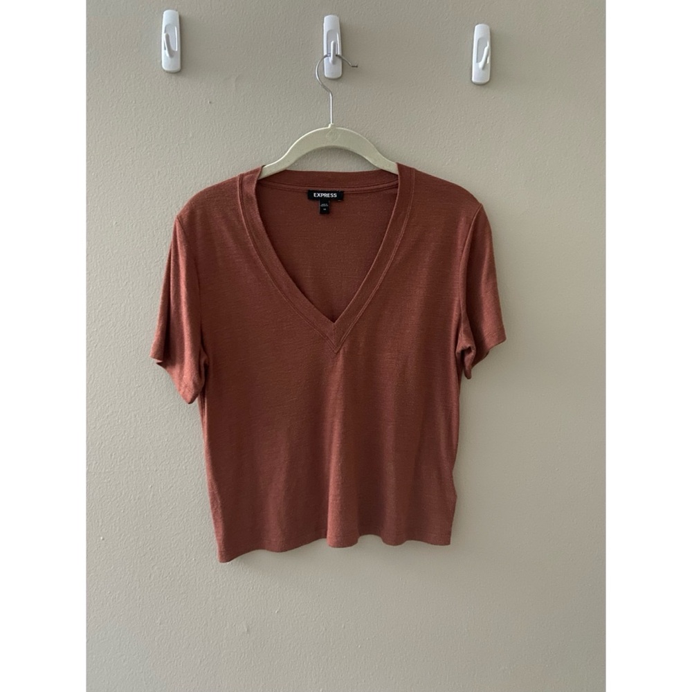 Express Flowy V-Neck Top in Rust